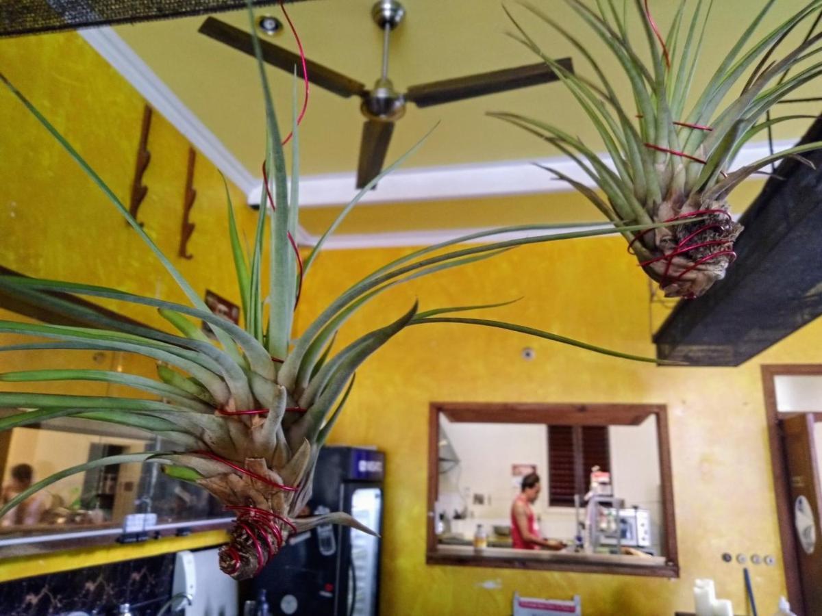 فندق The Lighthouse At Casa Max بوكاس تاون المظهر الخارجي الصورة